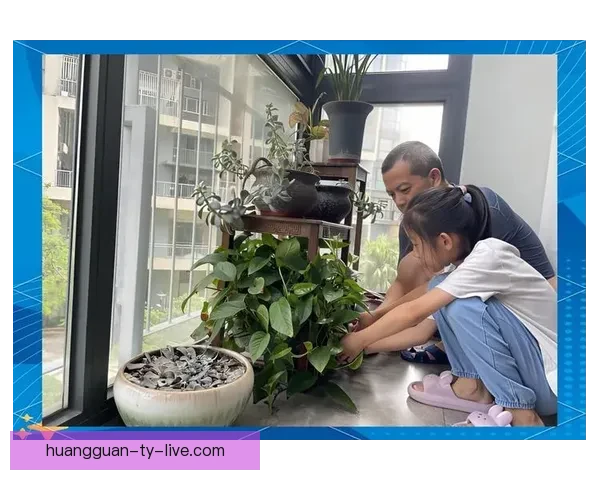 世界杯精彩赛事分析与投注技巧全面指南助你精准竞猜