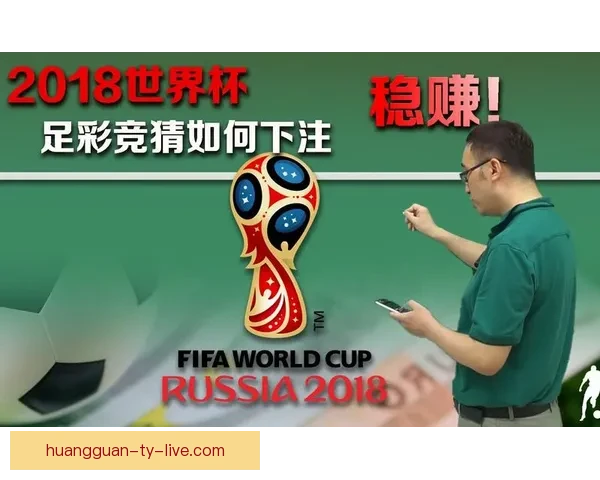 世界杯竞猜稳定平台全面解析安全玩法技巧与长期稳定盈利指南实战